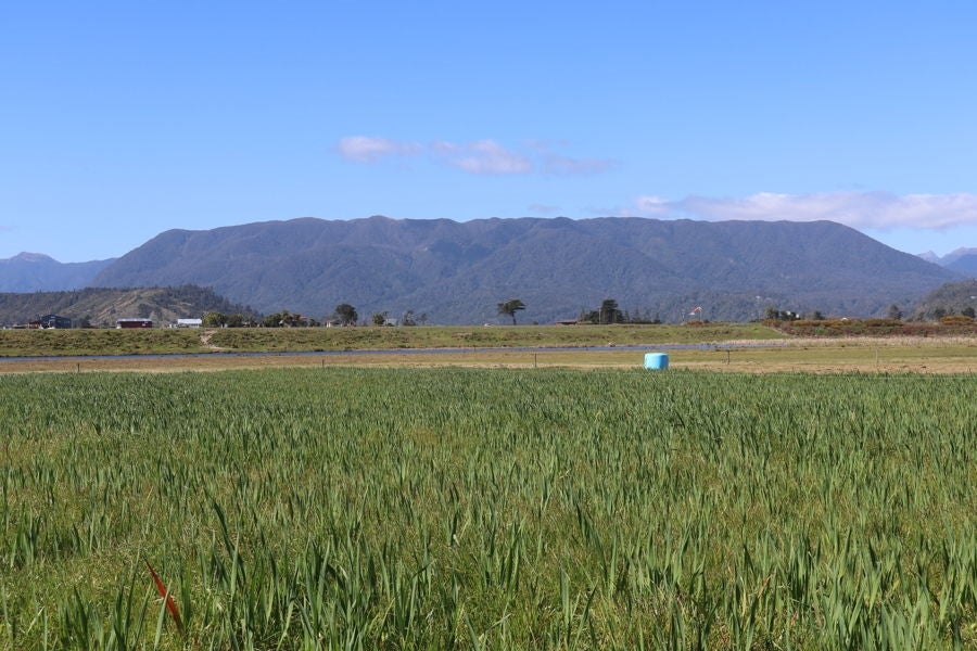 0 Karamea Highway, Karamea, Karamea - Carousel 2