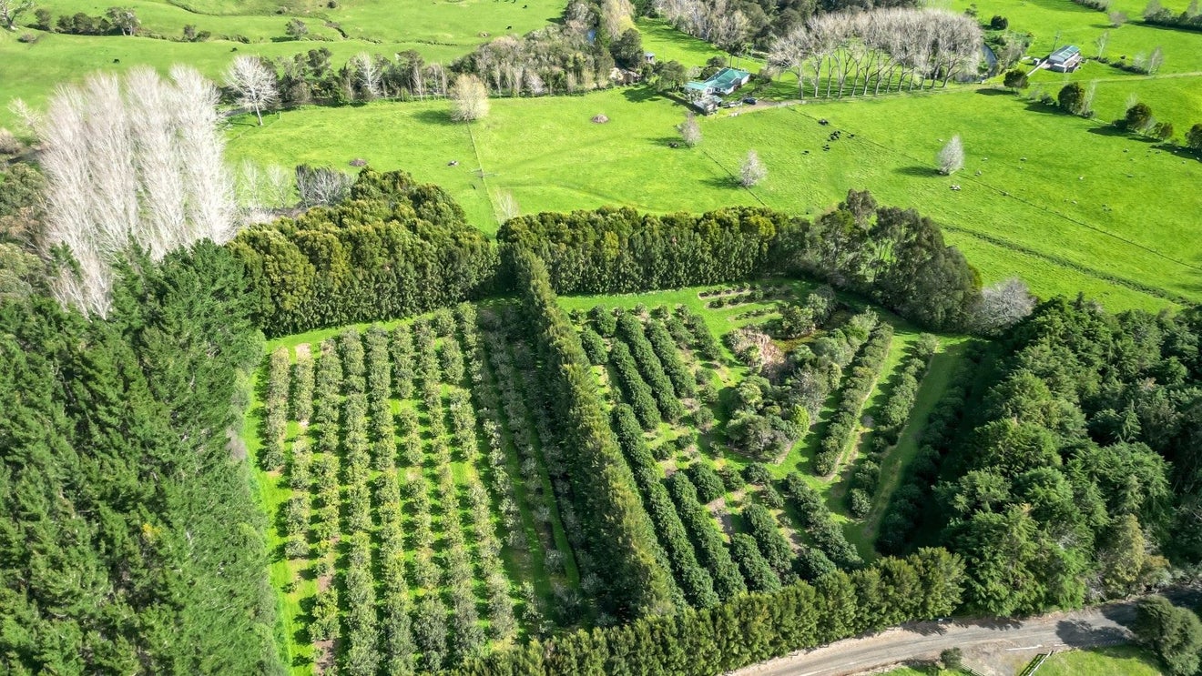 146 Omahu Valley Road, Paeroa - Carousel 2