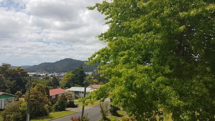 61 Raewyn Street, Morningside, Whangarei - Carousel 11