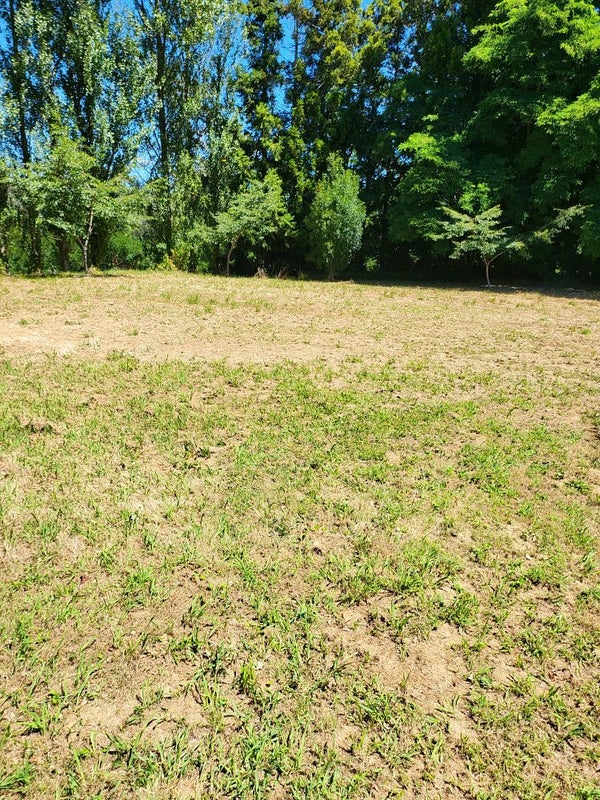692 Tirau Road, Karapiro, Cambridge - Carousel 25