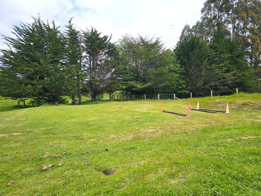 1127 Poihipi Road, Oruanui, Taupo - Carousel 38