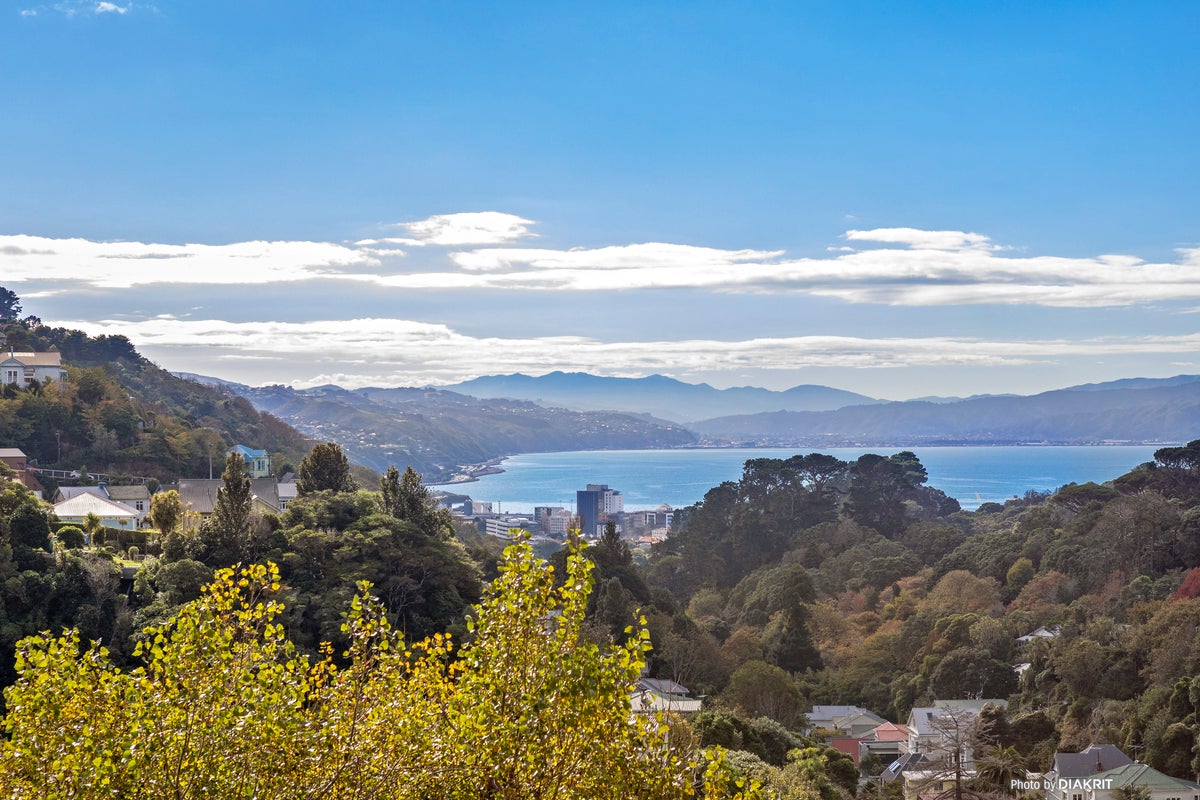 7 Northland Road, Northland, Wellington - Carousel 2