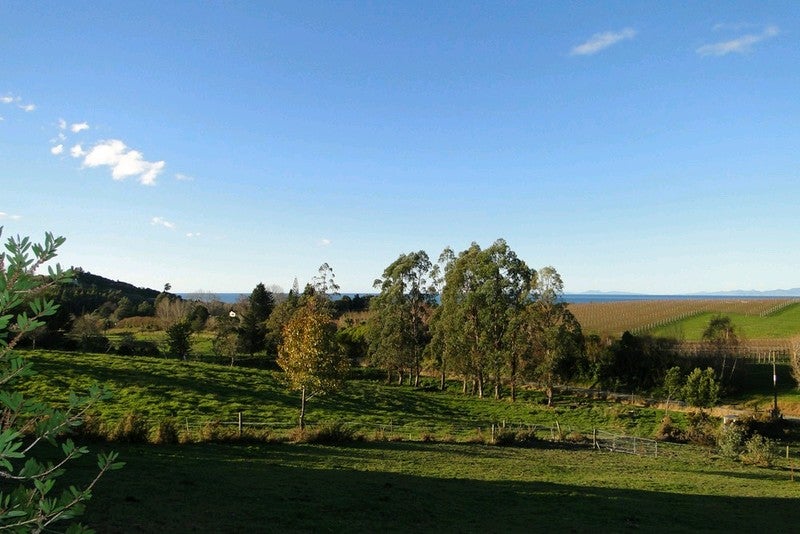 30 Kina Beach Road, Tasman - Carousel 2