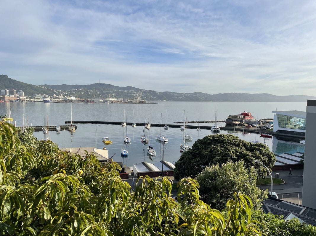 12 Prince Street, Mount Victoria, Wellington - Carousel 9