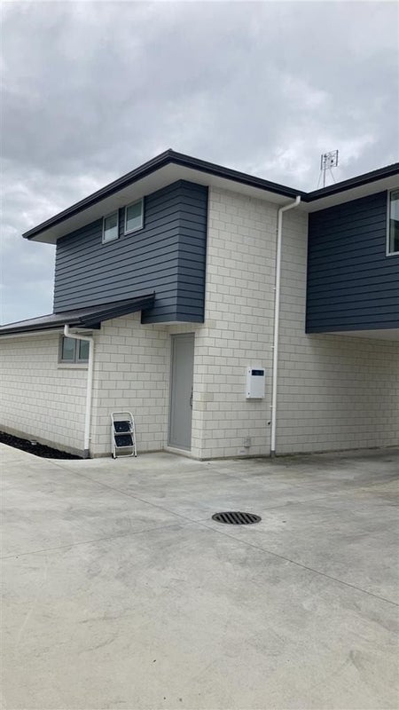 20A Sare Crescent, Fairfield, Hamilton - Carousel 2