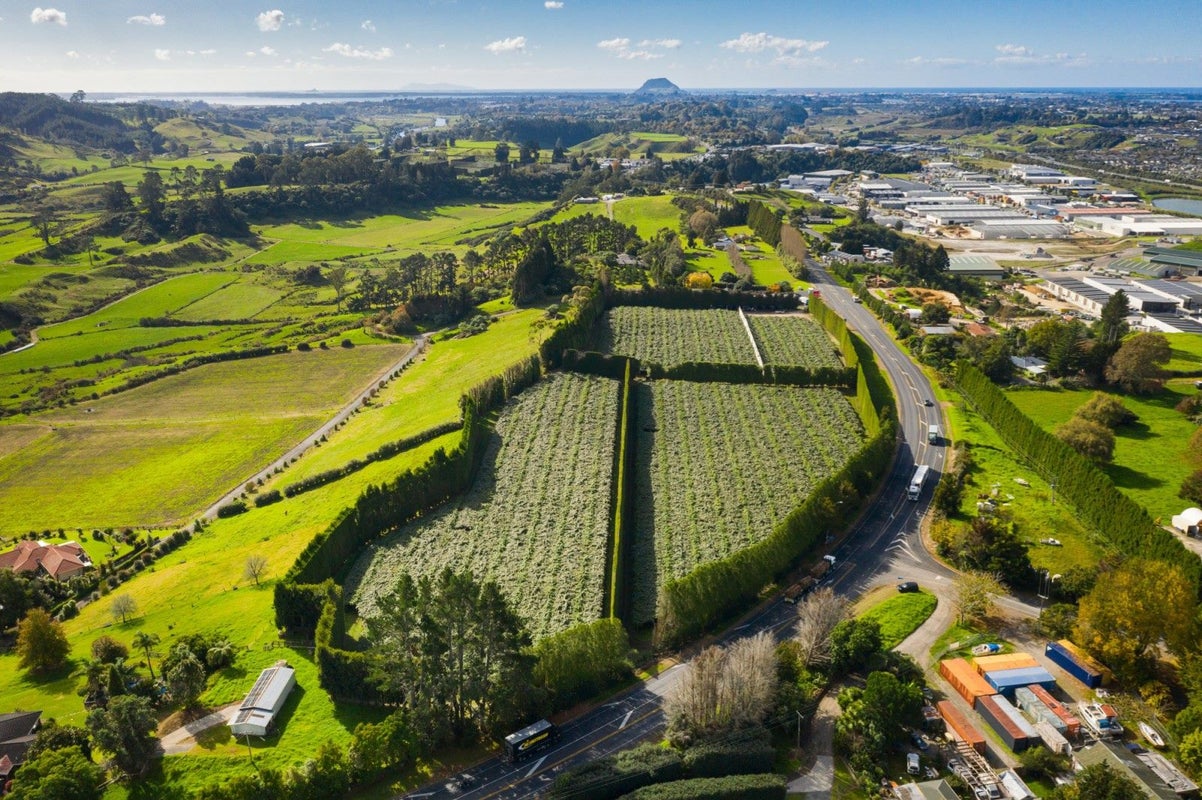 888 State Highway 29, TAURIKO, TAURANGA - Carousel 1