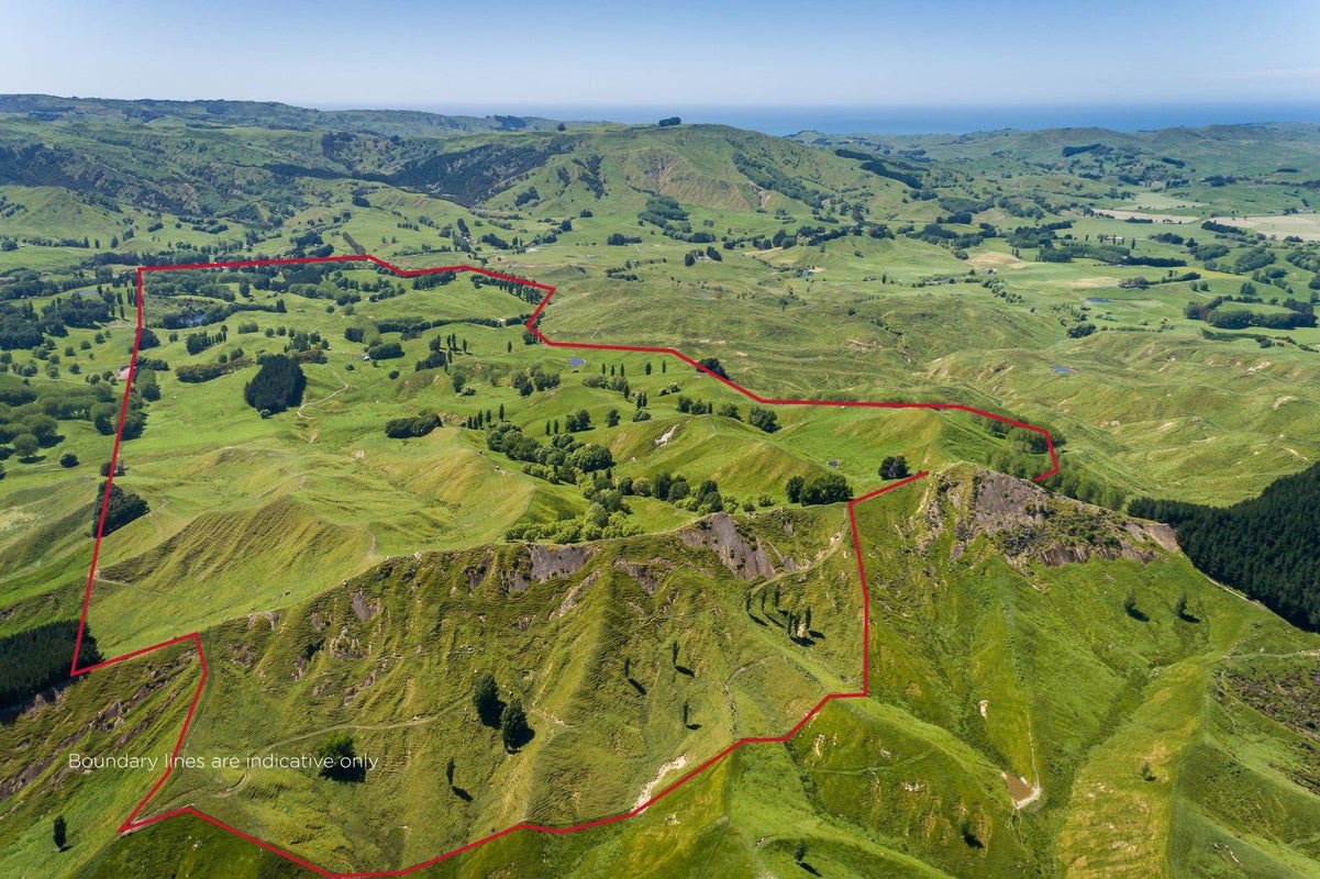 2412 Kahuranaki Road, Elsthorpe, Havelock North - Carousel 20