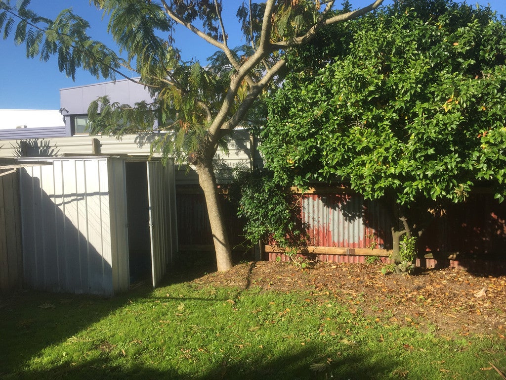 31A Rifle Range Road, Dinsdale, Hamilton - Carousel 19