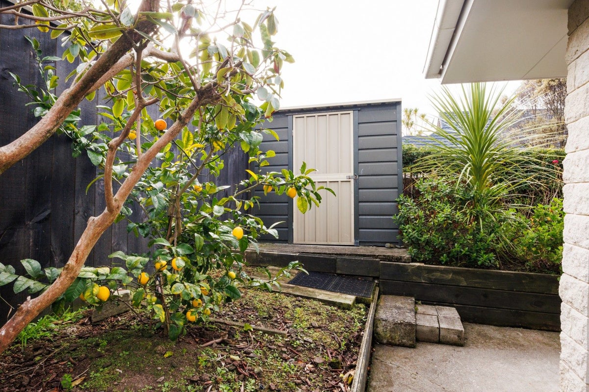 14 Fraser Court, Roslyn, Palmerston North - Carousel 17