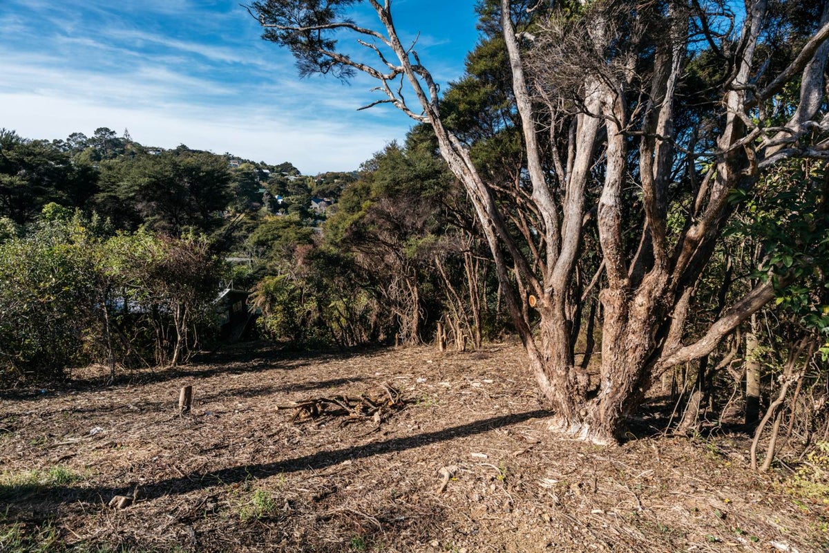 41 Te Toki Road, Ostend, Waiheke Island - Carousel 1