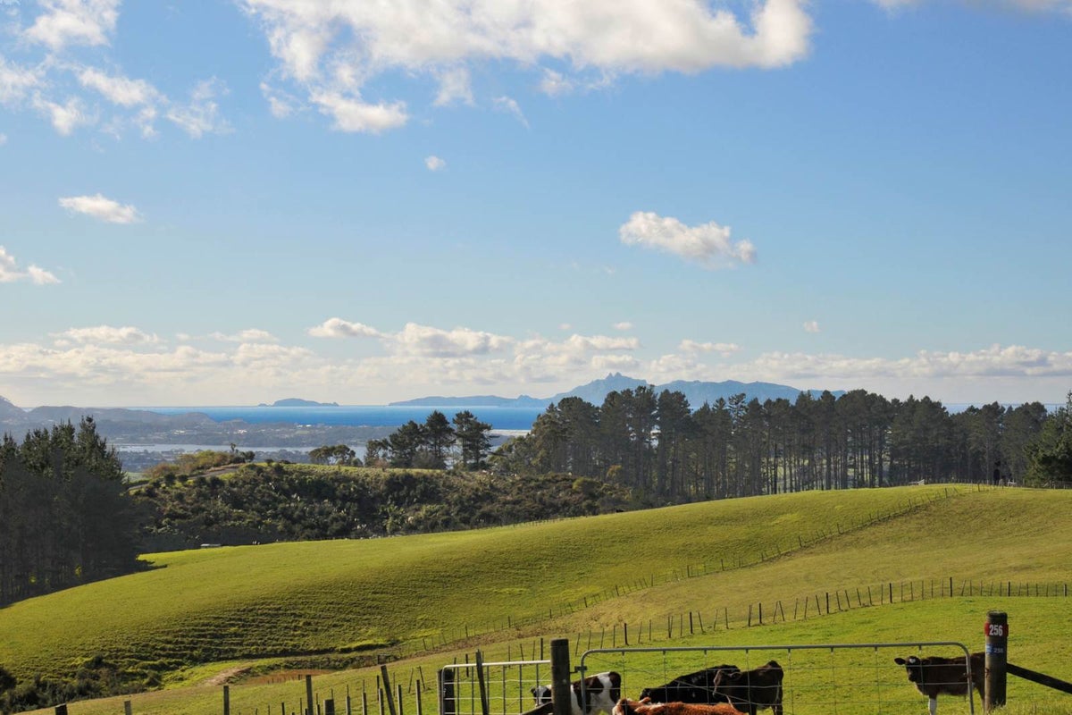 283 Cames Road, Kaiwaka, MANGAWAHI - Carousel 1