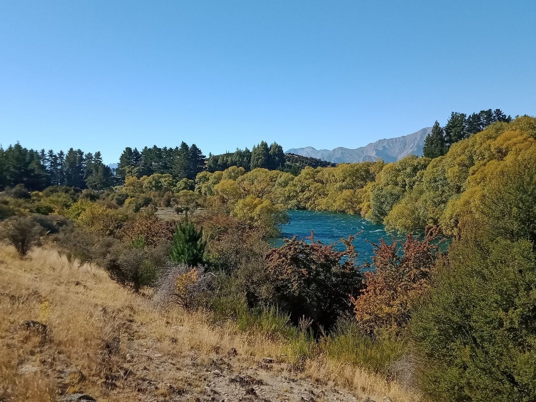 174C Camp Hill Road, Albert Town, Wanaka - Carousel 2