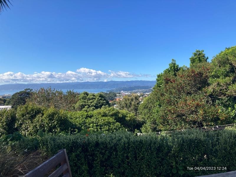 25 Putnam Street, Northland, Wellington - Carousel 1