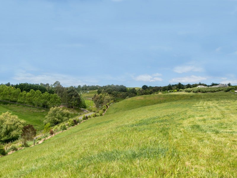 377 Tuki Tuki Road, Haumoana, Hastings - Carousel 2