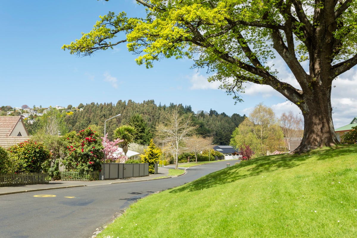 44 Glenross Street, Glenross, Dunedin - Carousel 19