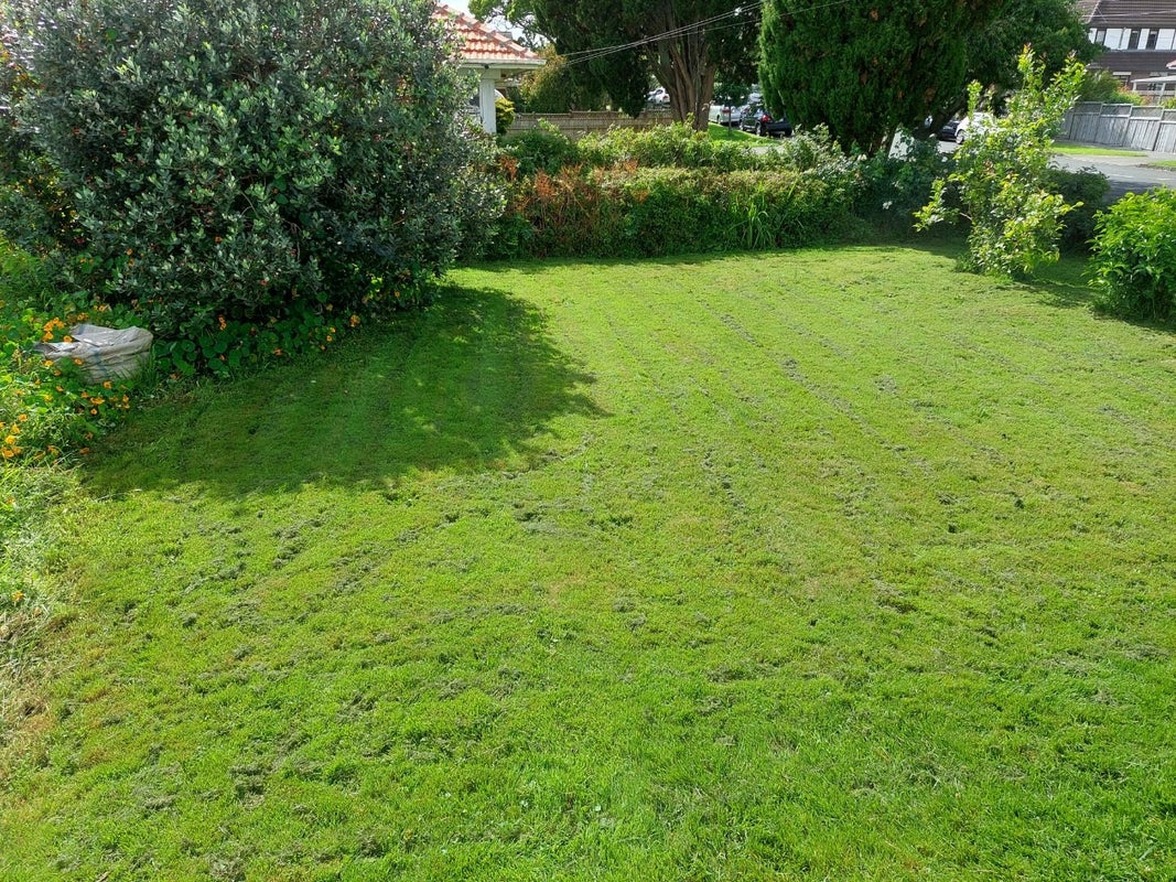 24 Buckley Road, Epsom, Auckland - Carousel 14