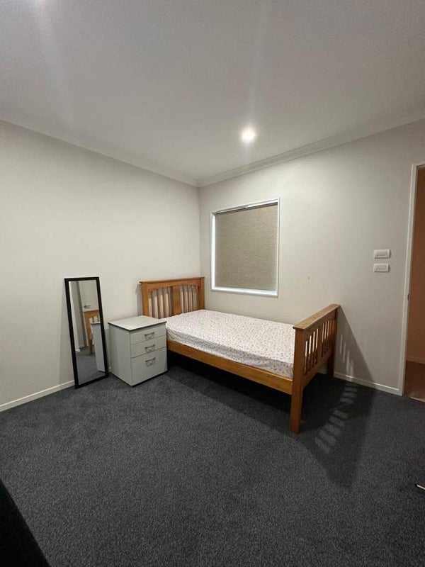 21 Castlepoint AVE, Takanini, Takahini - Carousel 16
