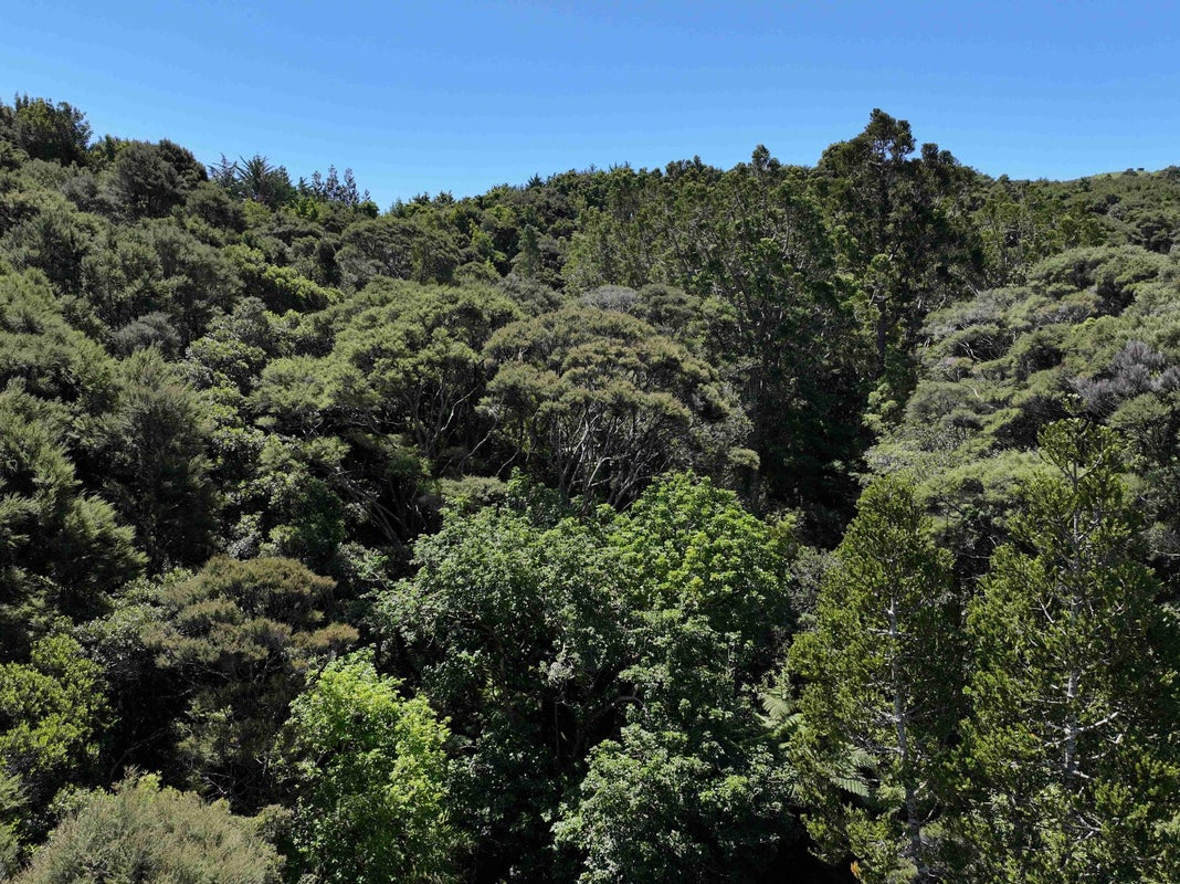 113A Taemaro Road, Hihi, Mangonui - Carousel 16