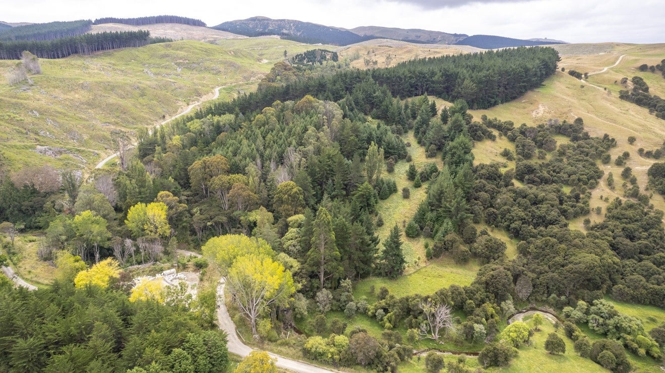 0 Bute Rd, Mangapakeha, Masterton - Carousel 1
