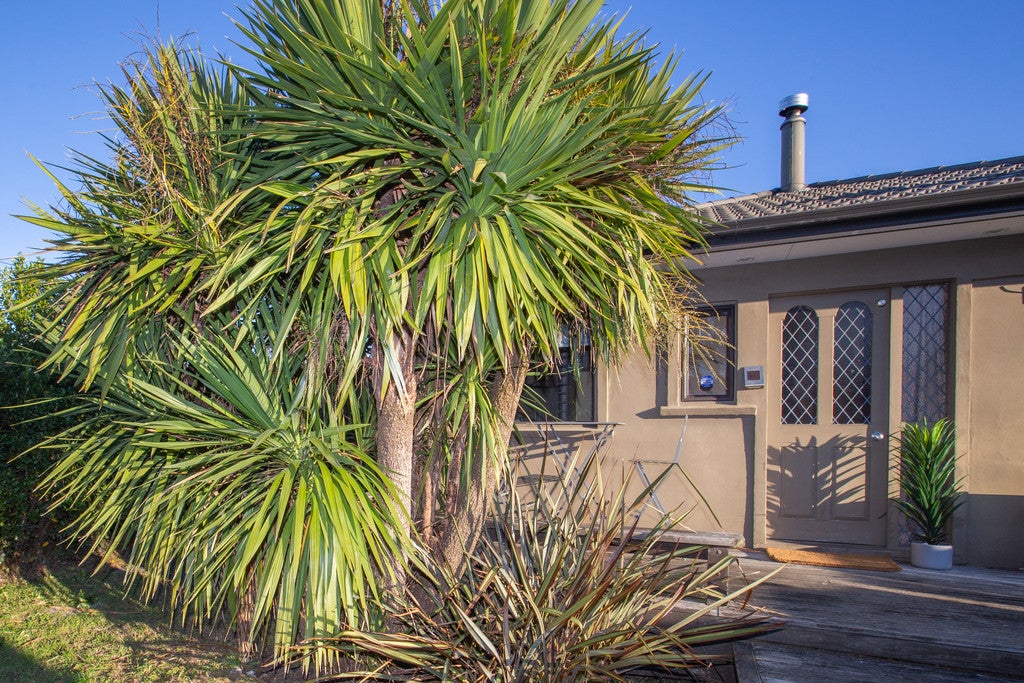 38 Michael Street, Kuripuni, Masterton - Carousel 1