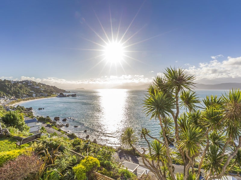 8 Beere Haven Steps, Seatoun, Wellington - Carousel 1