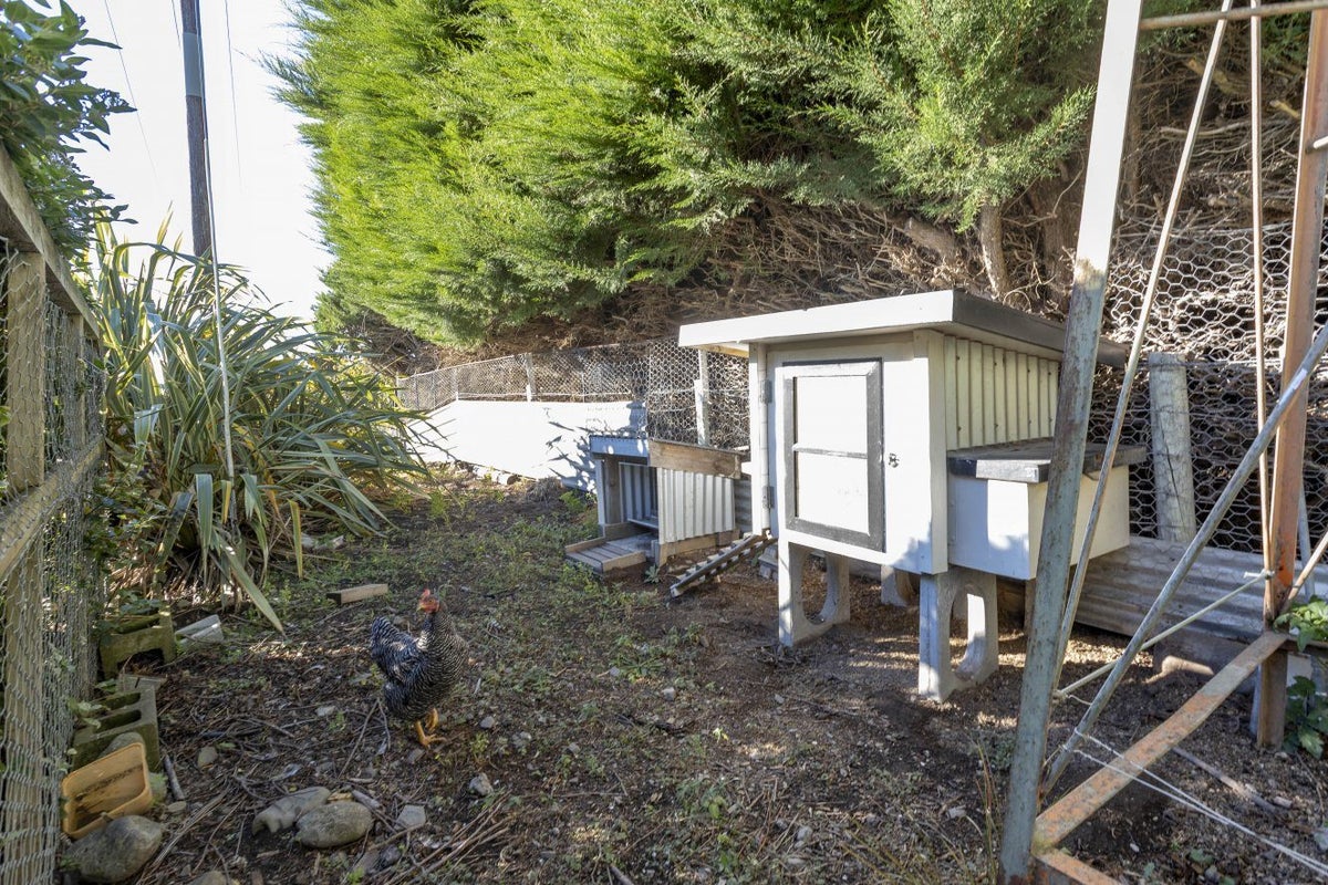 3 Forresters Road, Hurunui, Hawarden - Carousel 32