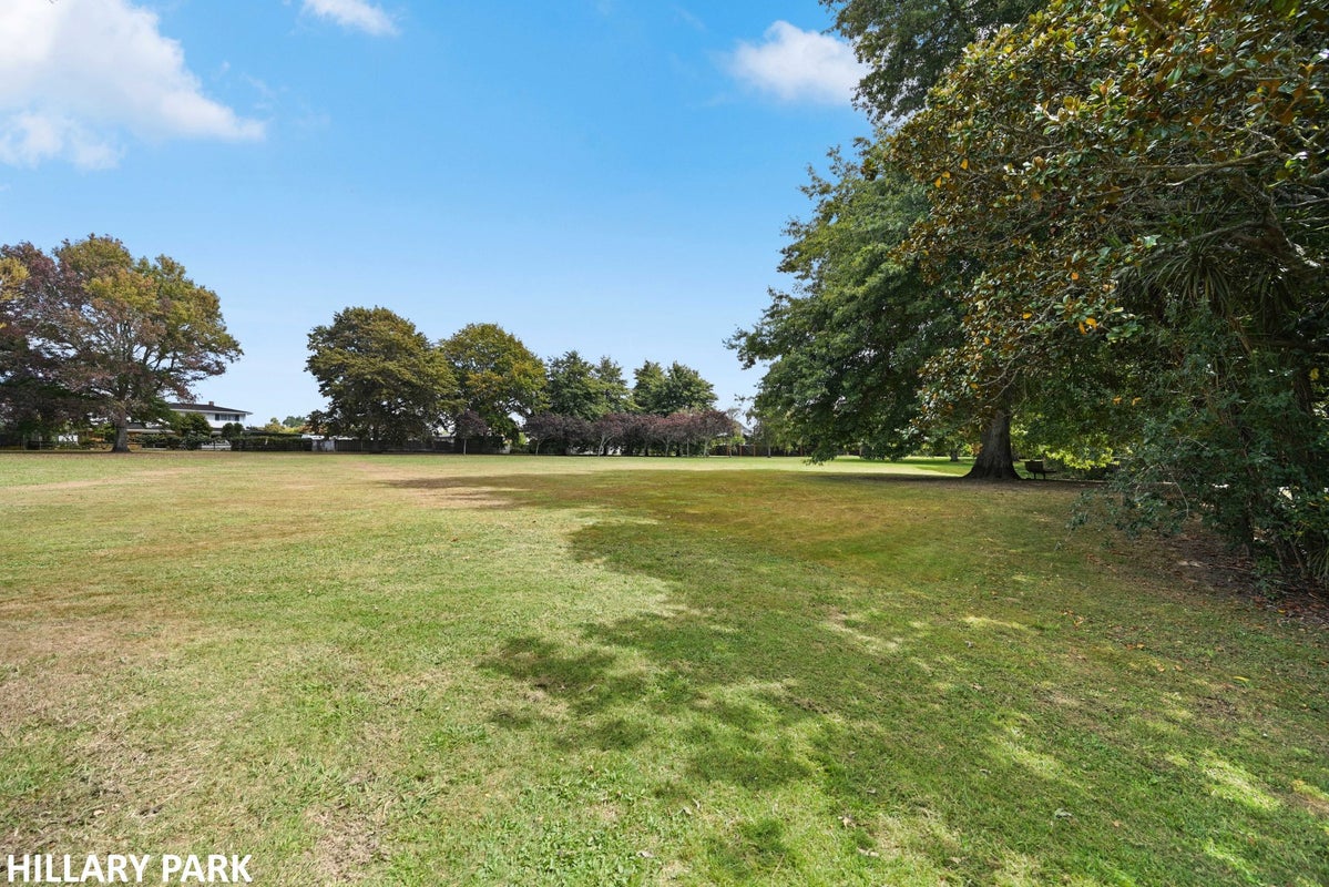 54 Ellerslie Avenue, Chartwell, Hamilton - Carousel 21