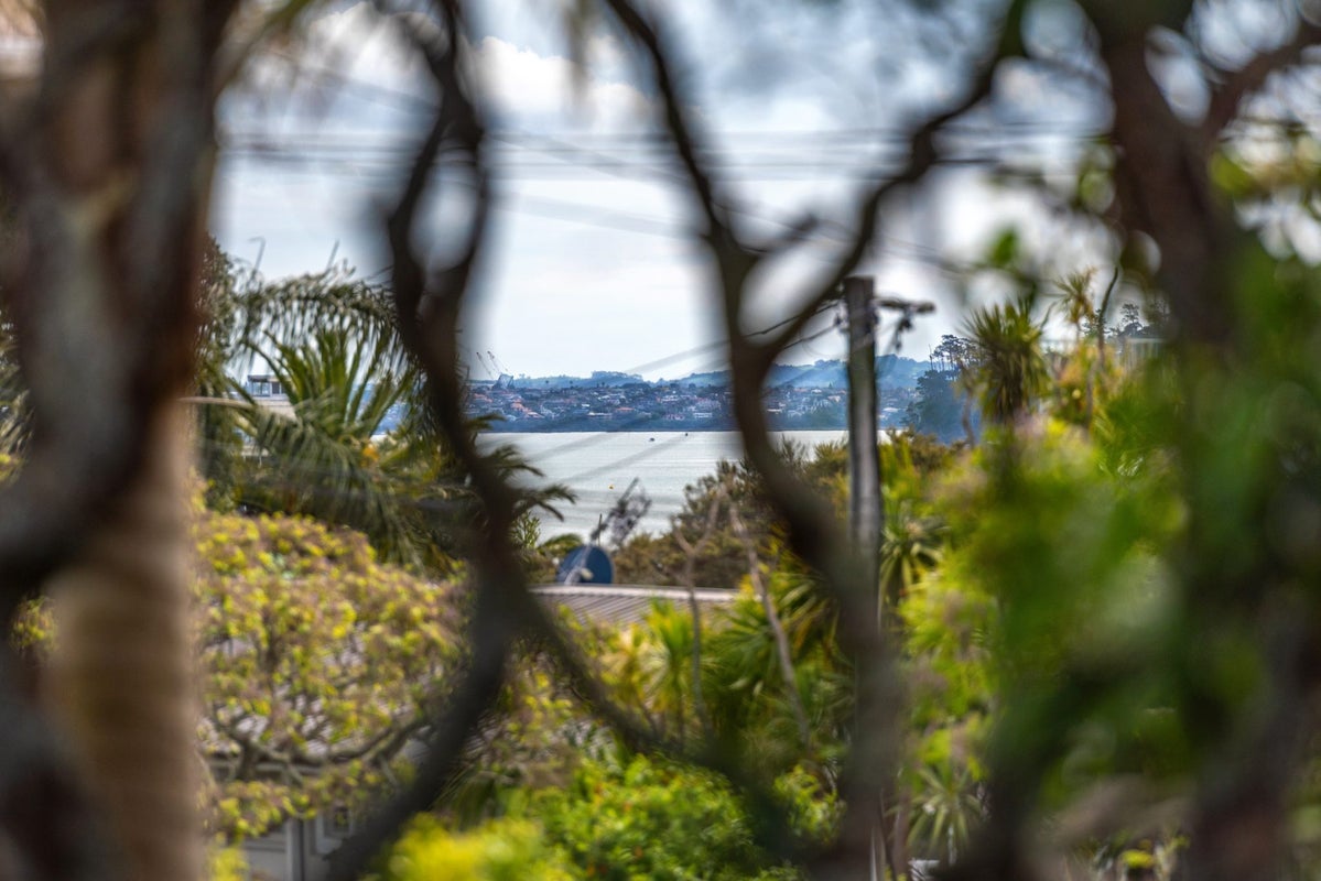 58 Shelly Beach Road, Saint Marys Bay, Auckland - Carousel 31