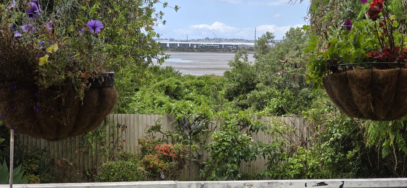 13 Mataroa Road, Mount Wellington, Auckland - Carousel 14