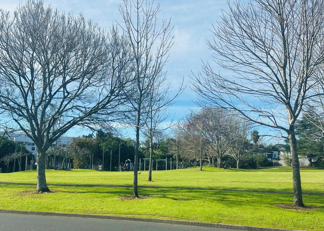 1/31 Lavelle Road, Henderson, Auckland - Carousel 26