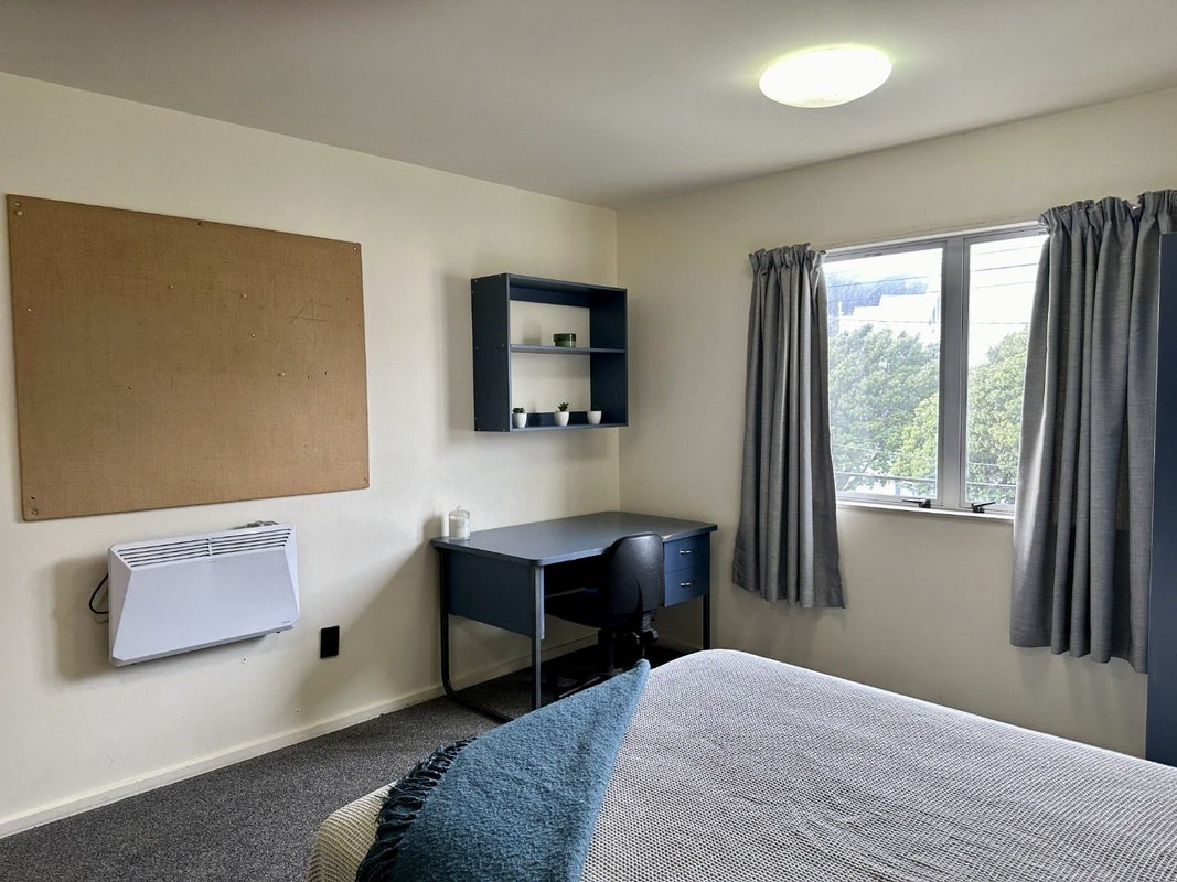 10/4 Sussex Street, Mount Cook, Wellington - Carousel 2