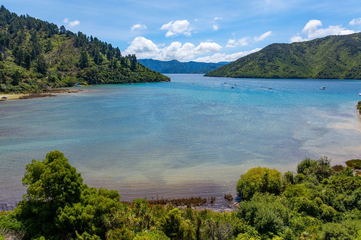 19 McCormicks Road, Whatamango Bay, Picton - Carousel 2