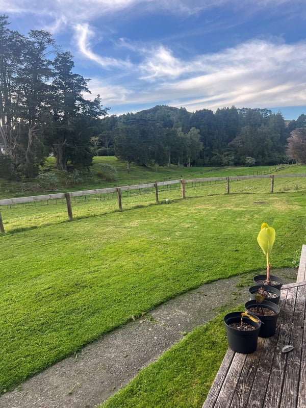 94 Clevedon-Takanini Road, Clevedon, Papakura - Carousel 2