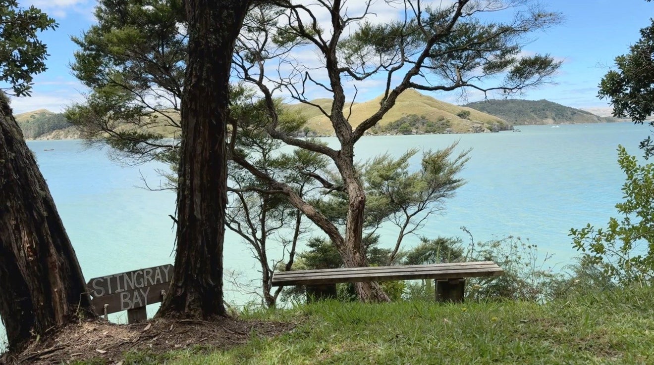 0 Te Akau Wharf Road, Te Akau, Ngaruawahia - Carousel 13