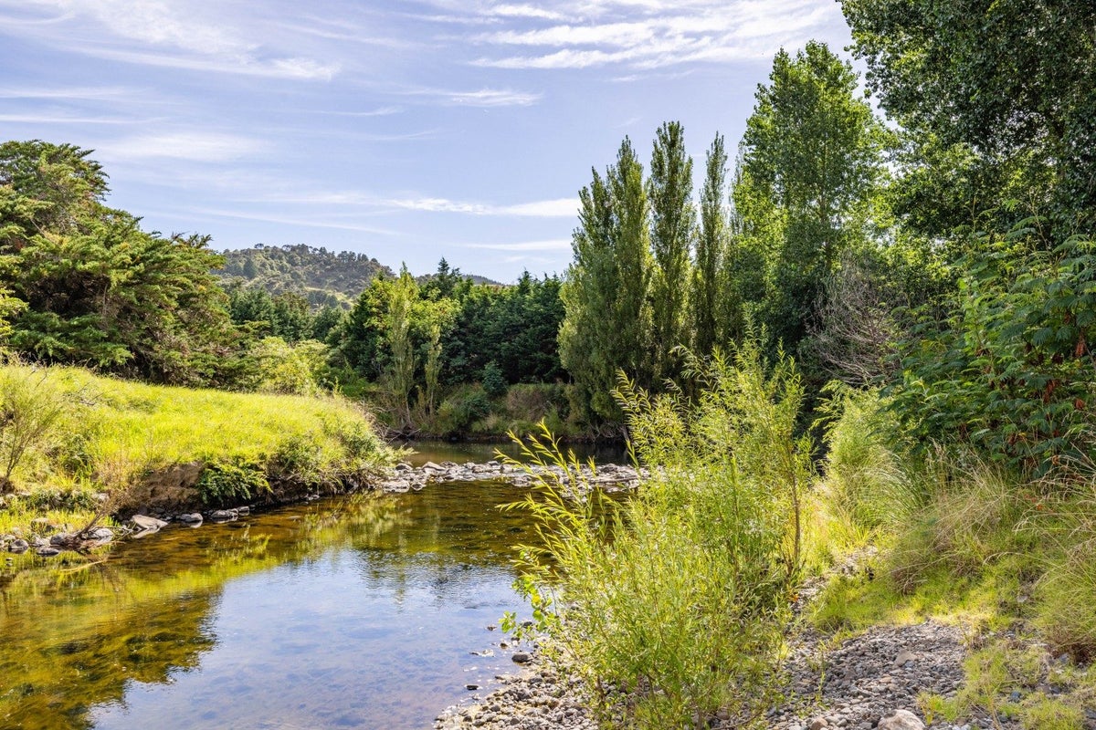 75 Hooks and Hall Road, Waimamaku, Kaikohe - Carousel 24