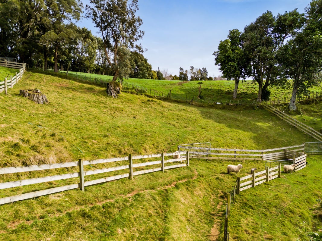 333 Paraite Road, Paraite, New Plymouth - Carousel 23