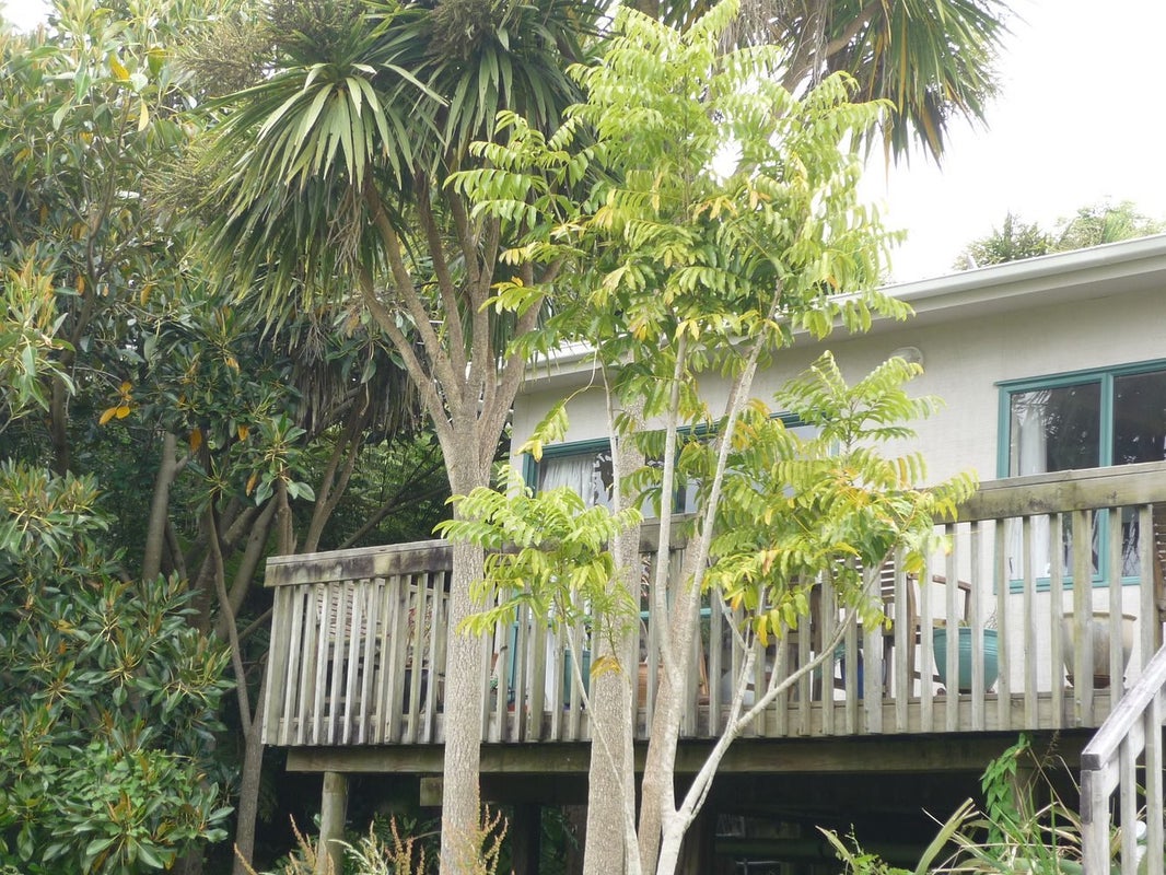 1610A Great North Road, Waterview, Auckland - Carousel 1