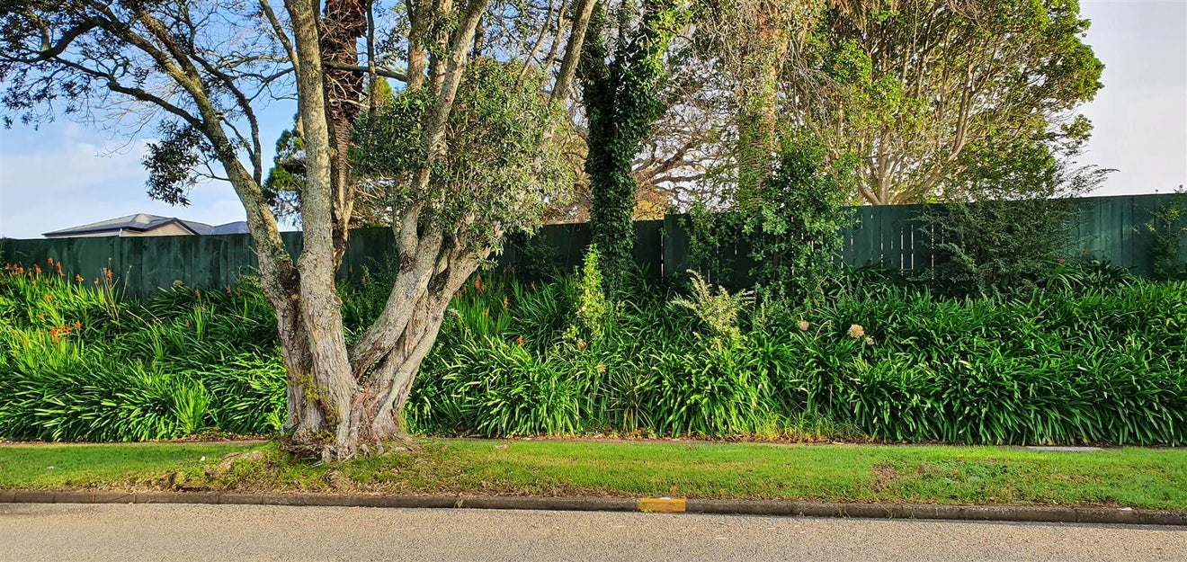 49 Hillcrest Road, Papatoetoe, Auckland - Carousel 2