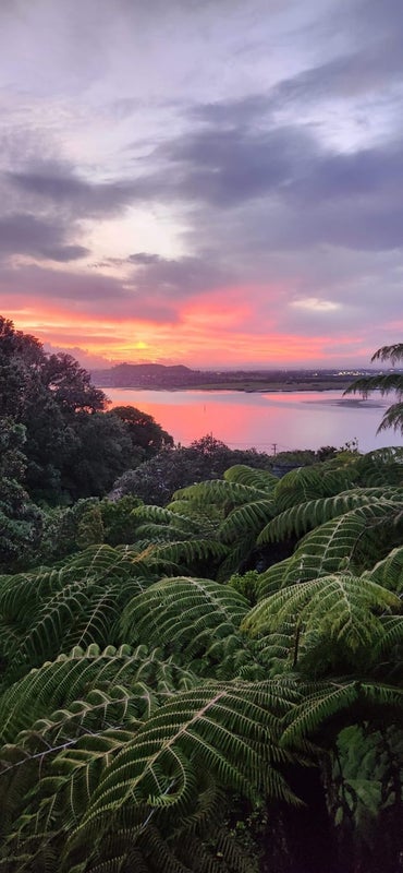 4 Puketutu Rise, Hillsborough, Auckland City, Auckland - Carousel 42