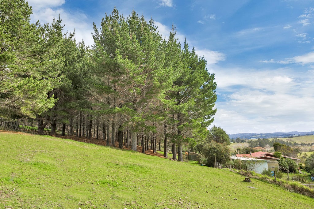 30 Timperley Road, Whangarei - Carousel 20