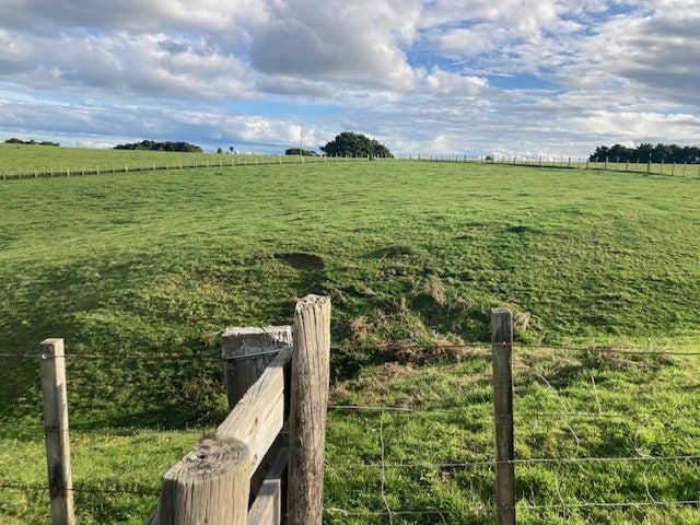 156 Morrison Road, Tuakau - Carousel 1
