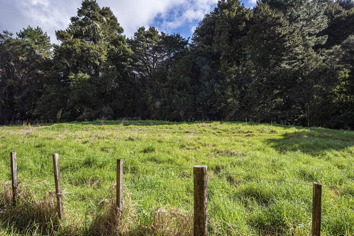 23 Pearson Road, Whangarei - Carousel 33