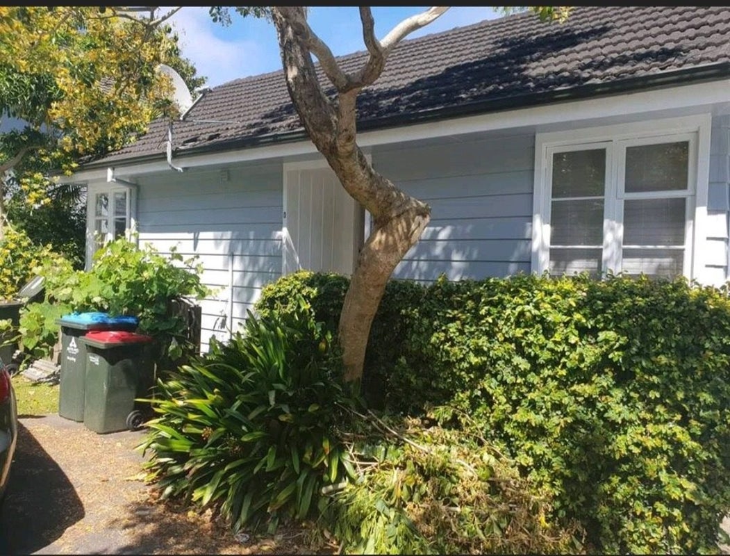 579D New North Road, Kingsland, Auckland - Carousel 1