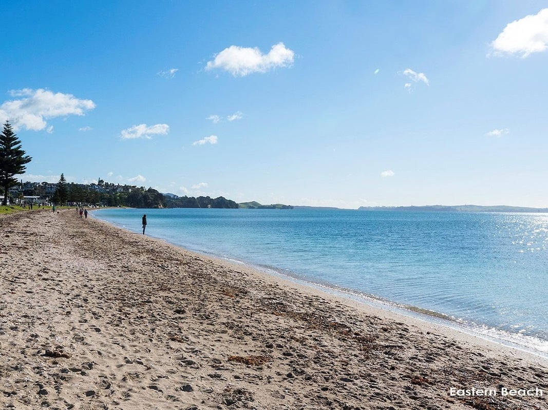25A The Esplanade, Eastern Beach, Auckland - Carousel 10