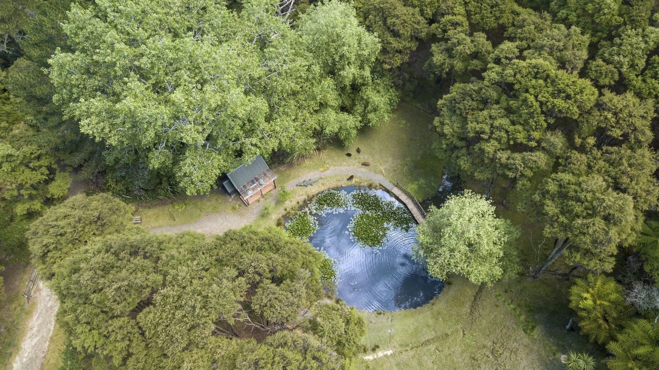 54 Hobson Road, Lucas Heights, Auckland - Carousel 33