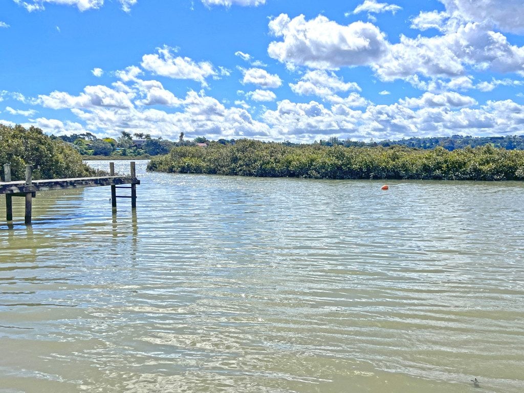 10 The Terrace, Herald Island, Auckland - Carousel 21