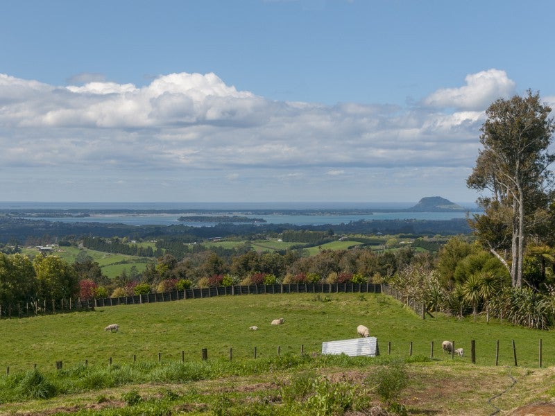 1039A Work Road, Whakamarama, Katikati - Carousel 2