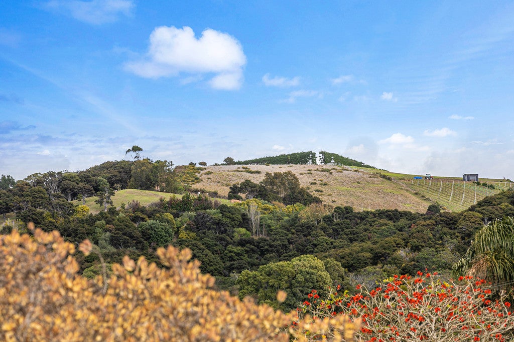 58 Mako Street, Oneroa, Waiheke Island - Carousel 20