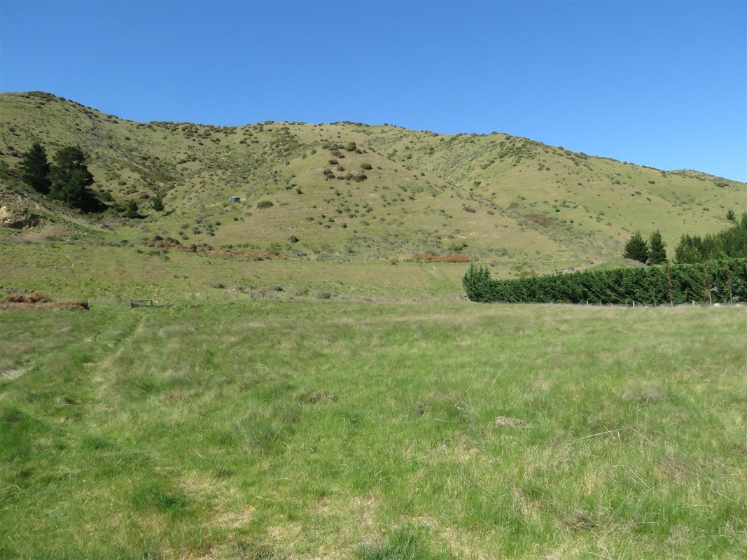 594 Hurunui Bluff Road, Hurunui, Hawarden - Carousel 1