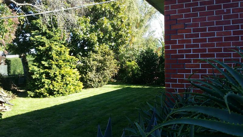 4 Farmar Street, Mayfield, Blenheim - Carousel 6